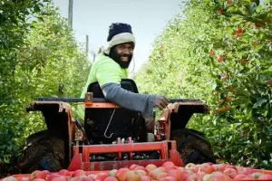 Pacific horticultural workers