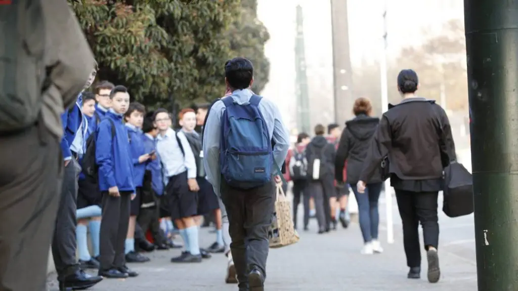 Auckland schools re zoning