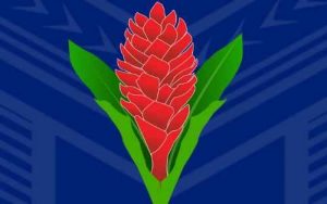 Lakapi samoa