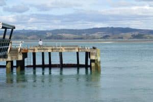 Kāwhia Harbours