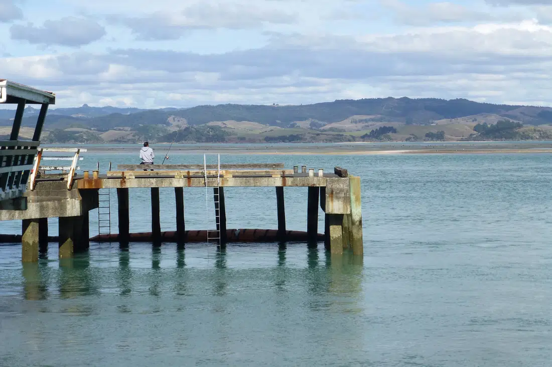 Kāwhia Harbours