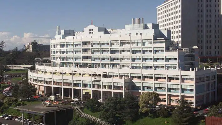 Starship Auckland hospital