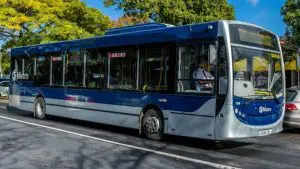 Auckland bus