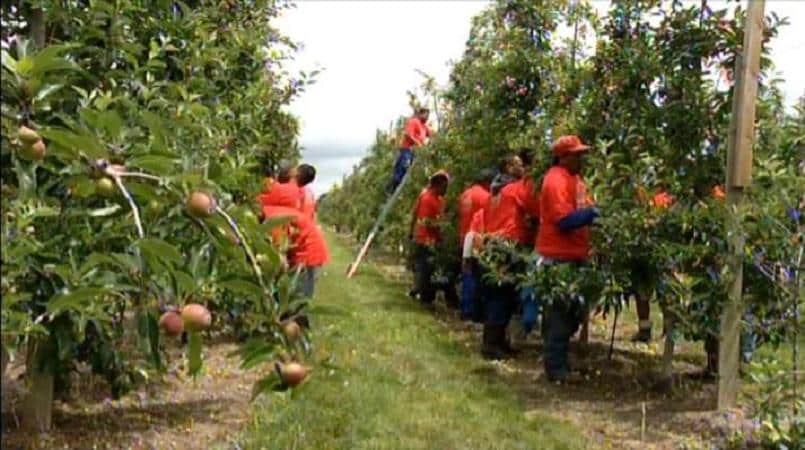 seasonal_workers