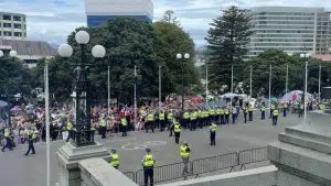 Protestors