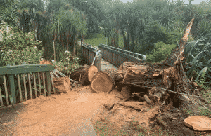 Cyclone Dovi