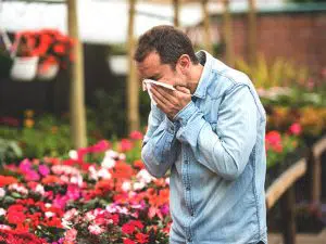 hay fever