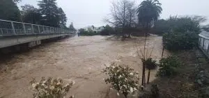 Bad Weather, Photo by RNZ