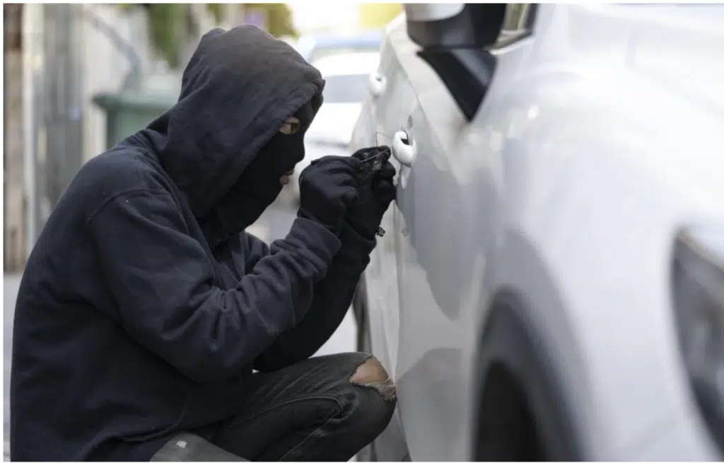 Car thefts. Photo by Newshub