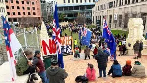 Parliament protestors, Photo by 1News