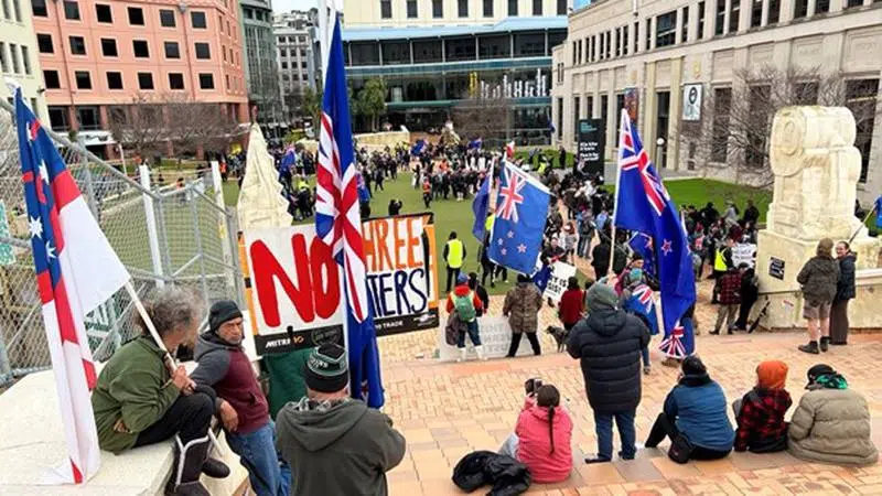 Parliament protestors, Photo by 1News