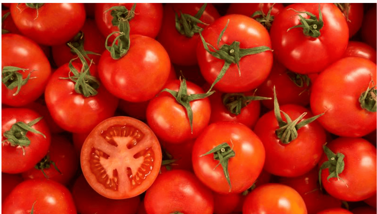 Tomatoes
