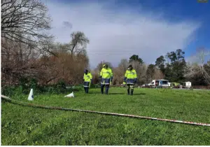 Police launch investigation after body found in burned-out car in Havelock North