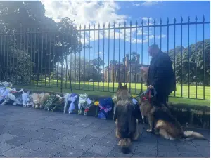 Daniel Phillips and his two German Shepherds bring flowers to government house in Sydney