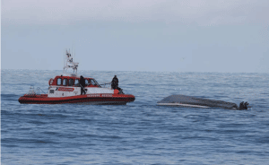 A coastguard boat with the capsized boat off Kaikoura