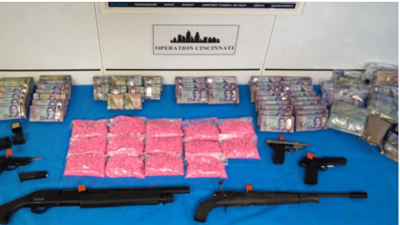 Drugs found in raid of Auckland's property