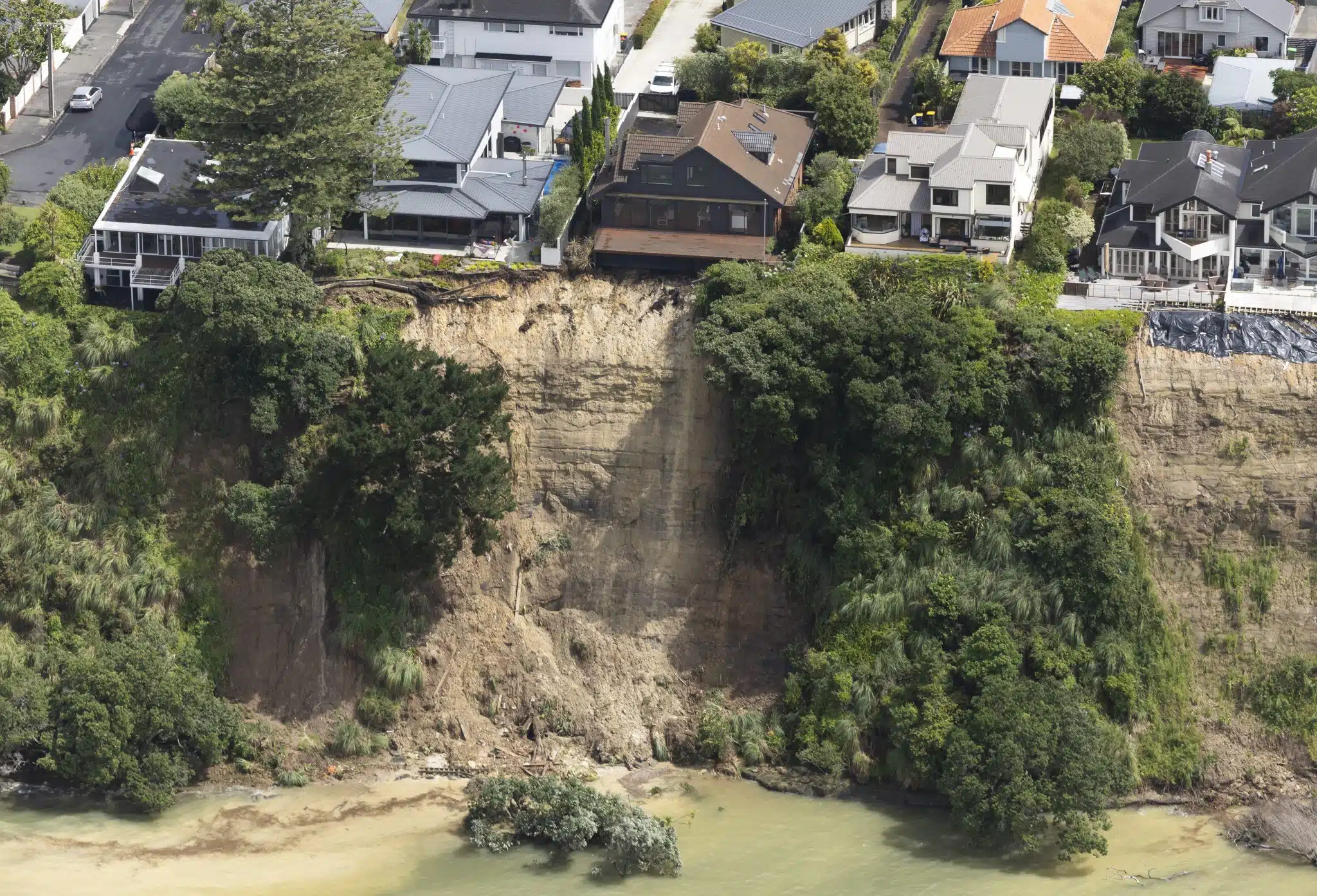 Photo by NZ Herald