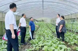 Asia nofoaga oloo faatino ai galuega tau faatoaga a Samoa ele aumalaga mai Hunan Saina