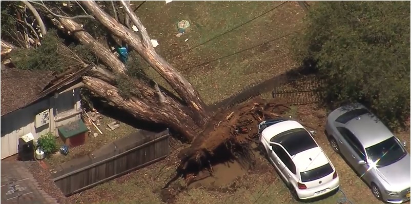 Emergency crews also responded to a large gum tree falling onto a house on Kurrajong Road at North St Marys