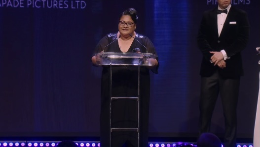 The New Zealand Screen Awards