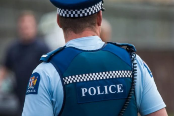A 30 year old man allegedly threatened police with a knife and bit an officer during an arrest in Dunedin.