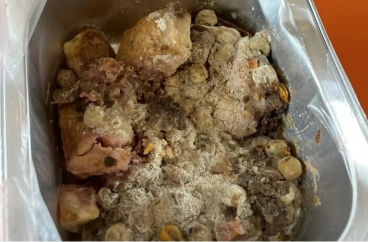 Some of the rancid lunches pictured above had already been eaten by students.