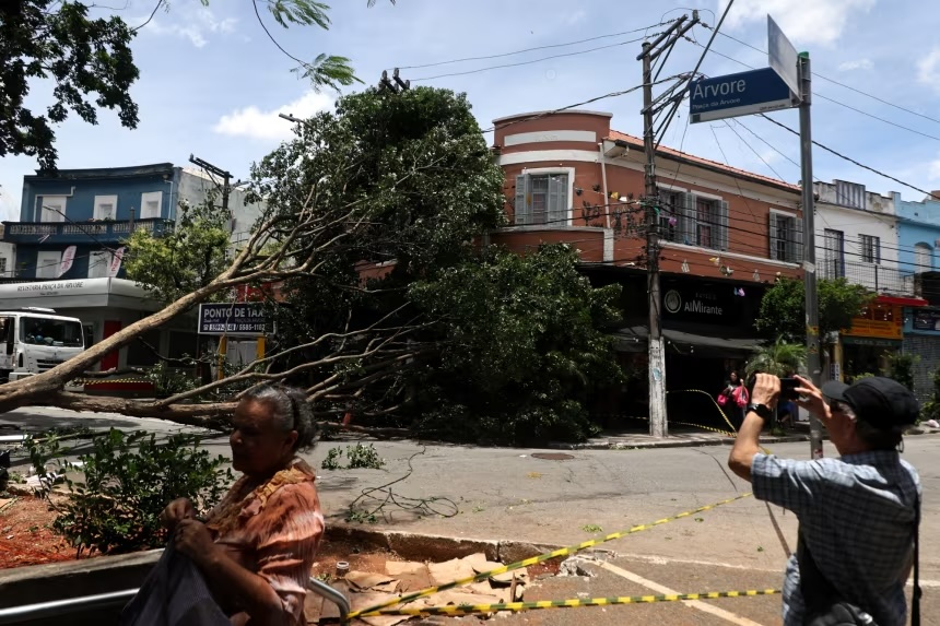 Downed trees on Avenida Paulista in Sao Paulo, Brazil, on December 10, 2025, as the city records wind gusts of up to 96.3 km:h due to the passage of an extratropical cyclone.