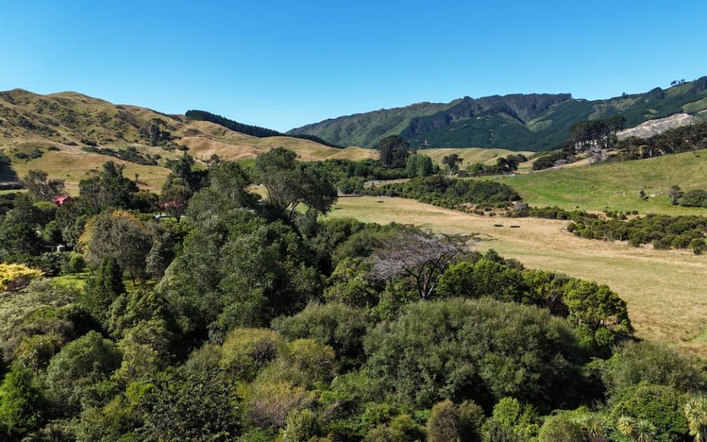 The area where the helicopter crashed.