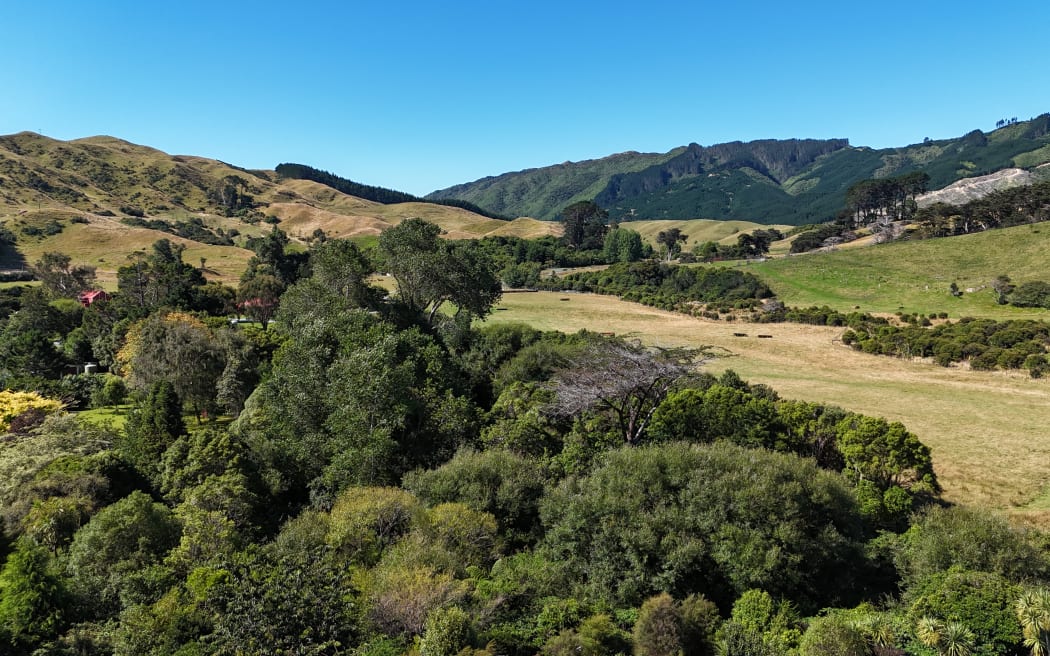 The area where the helicopter crashed.