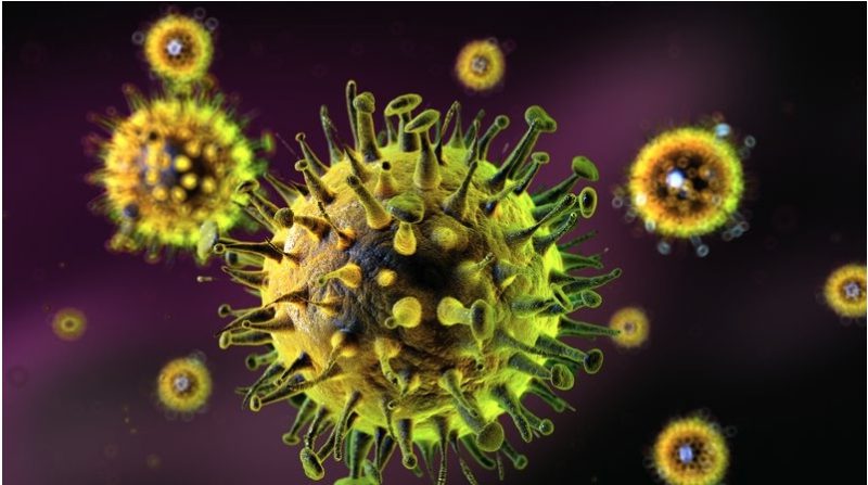 The new and highly mutated strain of ﻿influenza A (H3N2), dubbed 'Super-K', was first detected in the United States.