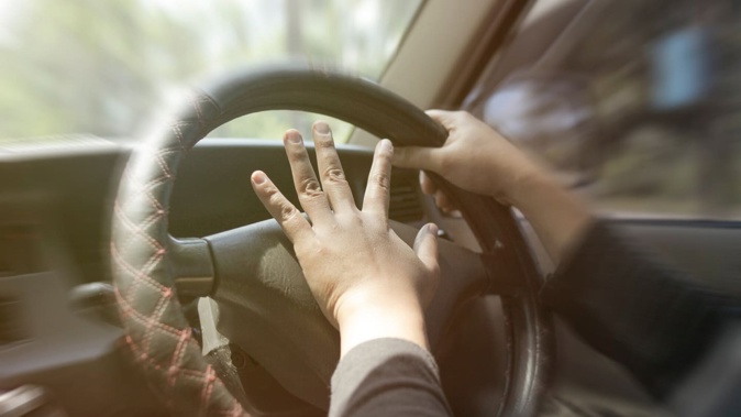 Nelson mother Paula Trainor has gone to prison for her 13th conviction for driving while suspended.