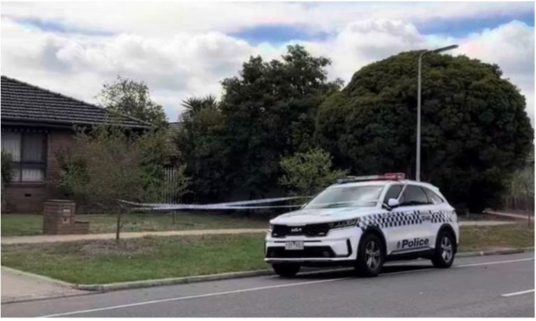 A member of the public reported finding the baby﻿ in the backyard of their home in Keilor Downs.