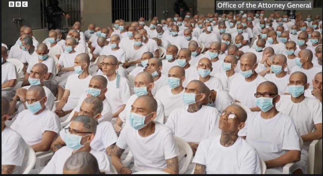 A mass trial of 486 suspected MS-13 gang members has begun in El Salvador.