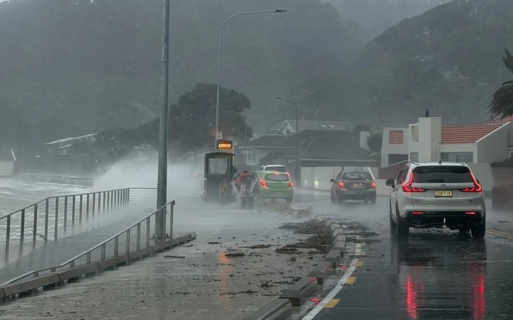 Debris is strewn across Marine Drive in Lowry Bay after strong winds hit Wellington.