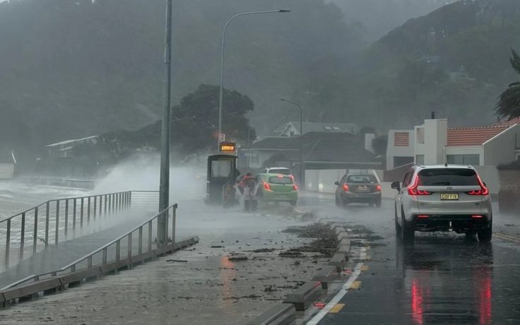 Debris is strewn across Marine Drive in Lowry Bay after strong winds hit Wellington.