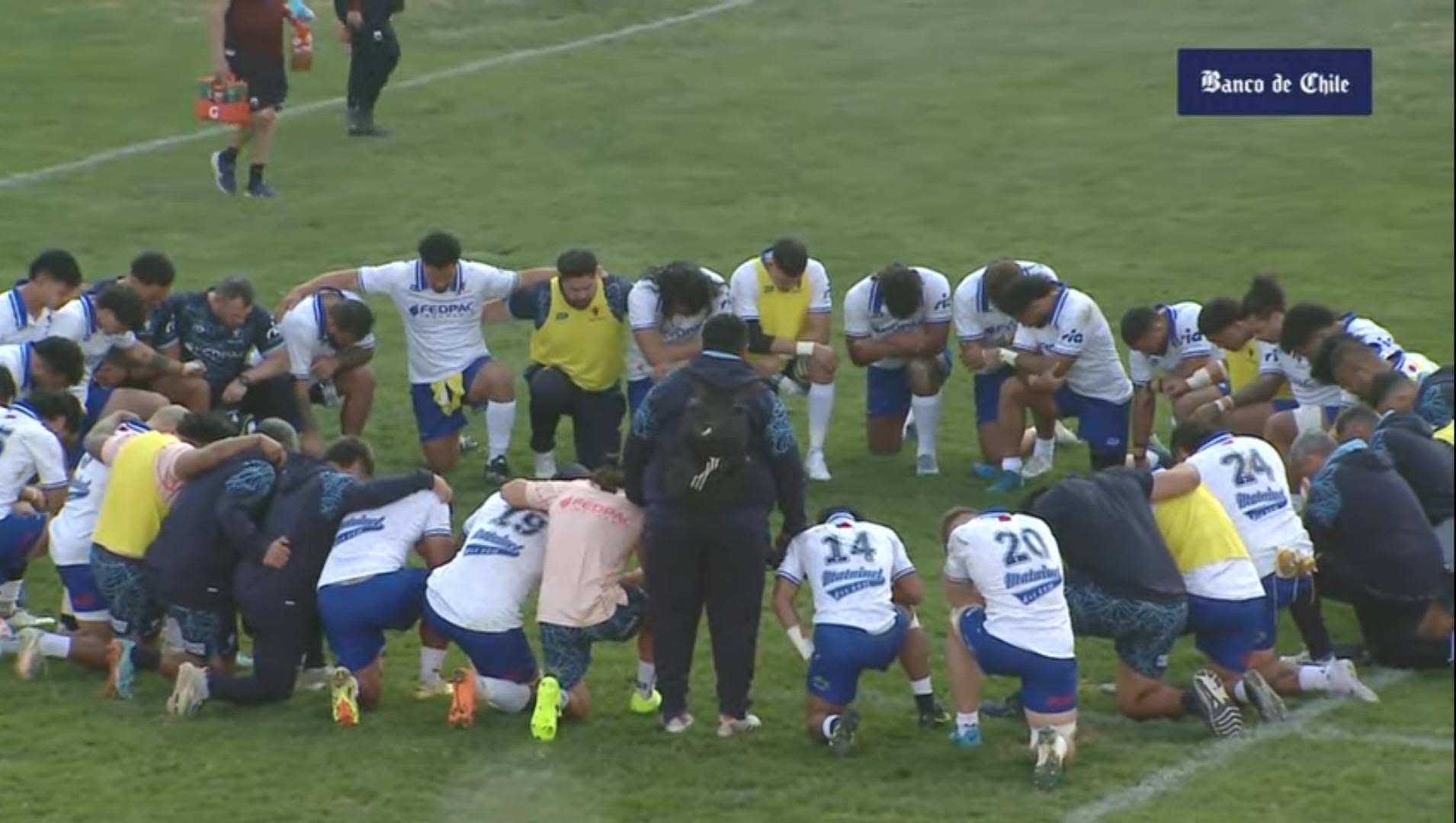 Manu Samoa