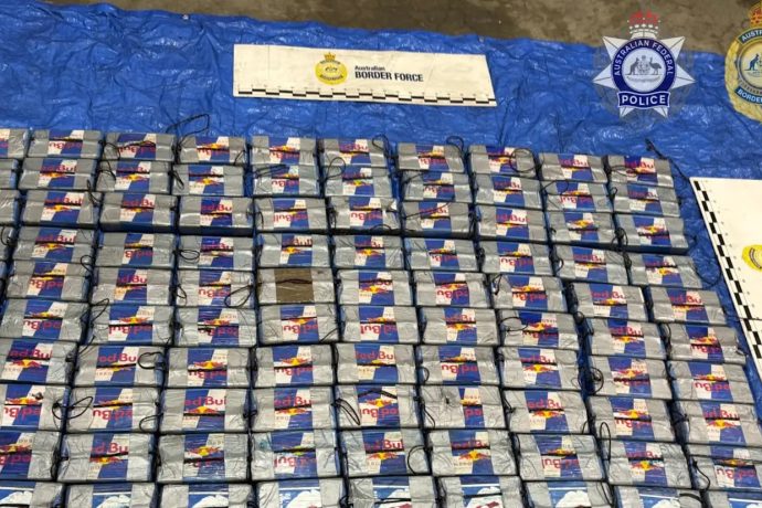 More than 100 bricks of cocaine were allegedly found in a shipment of frozen berries destined for Sydney.