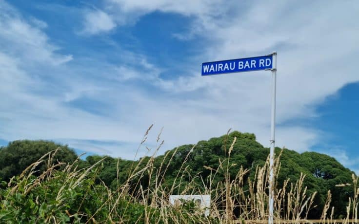 The body was found by a machinery operator on Wairau Bar Road on 19 May.