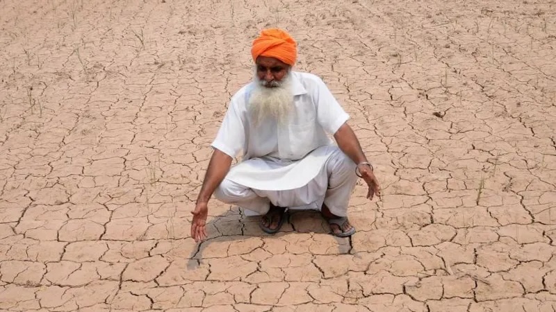 Millions of farmers in India rely largely on seasonal monsoon rains to grow summer crops.